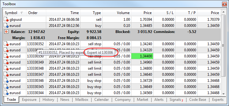 MetaTrader 5 Trading Terminal build 975: Displaying Expert ID
